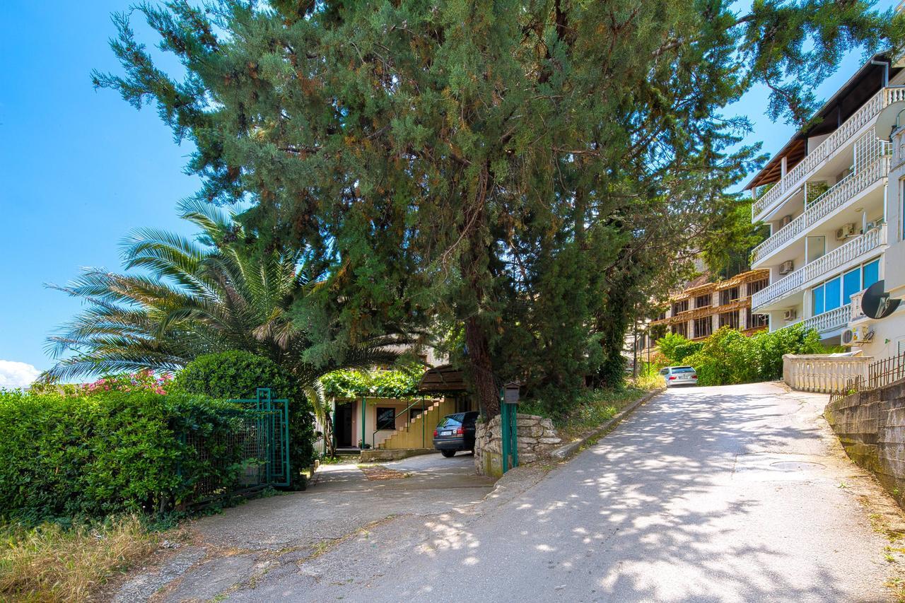 Srdanovic Appartement Budva